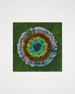 Flowers LP - Soft Focus